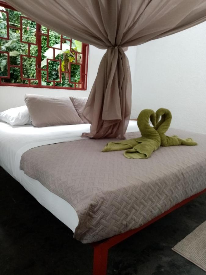 Bolita Trails And Lodging Dos Brazos Dış mekan fotoğraf