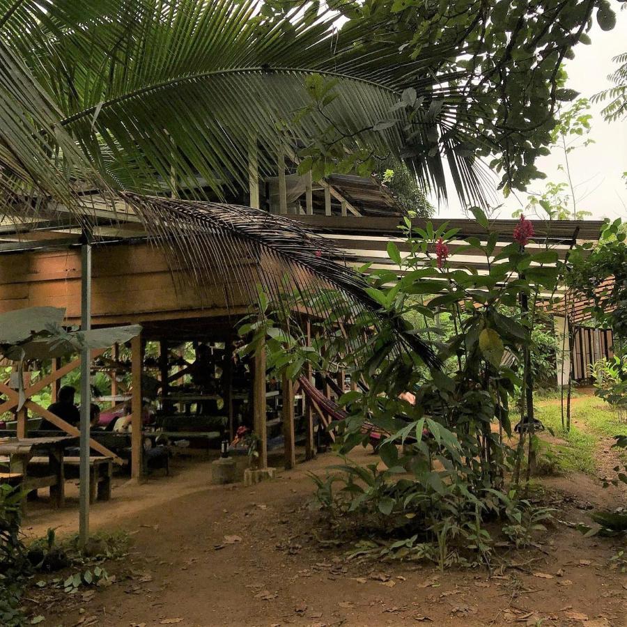 Bolita Trails And Lodging Dos Brazos Dış mekan fotoğraf